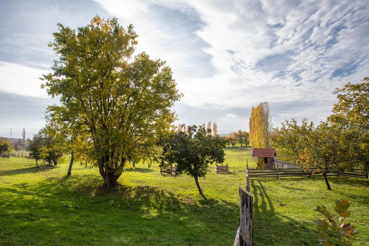 Kishosszúrét Vendégház Pecsvarad Exterior foto