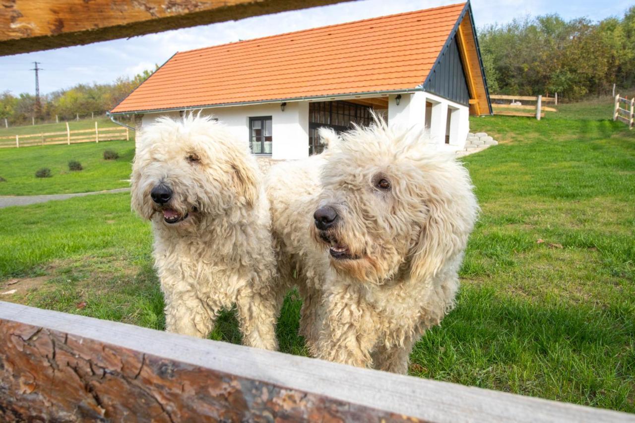 Kishosszúrét Vendégház Pecsvarad Exterior foto